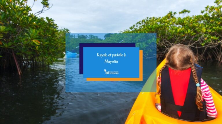 Balade en kayak dans la mangrove à Mayotte