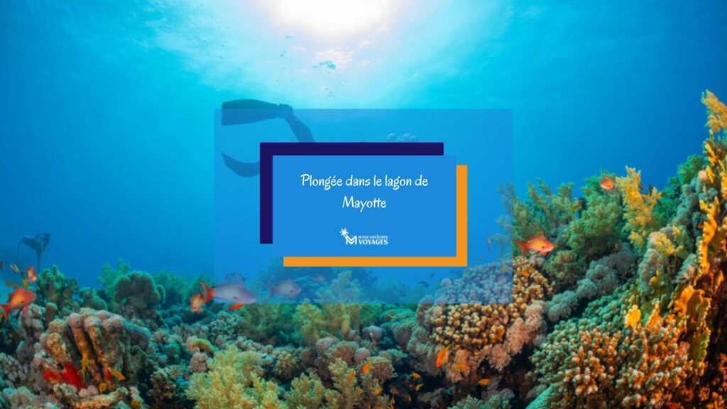 Plongeur au-dessus d’un récif corallien à Mayotte
